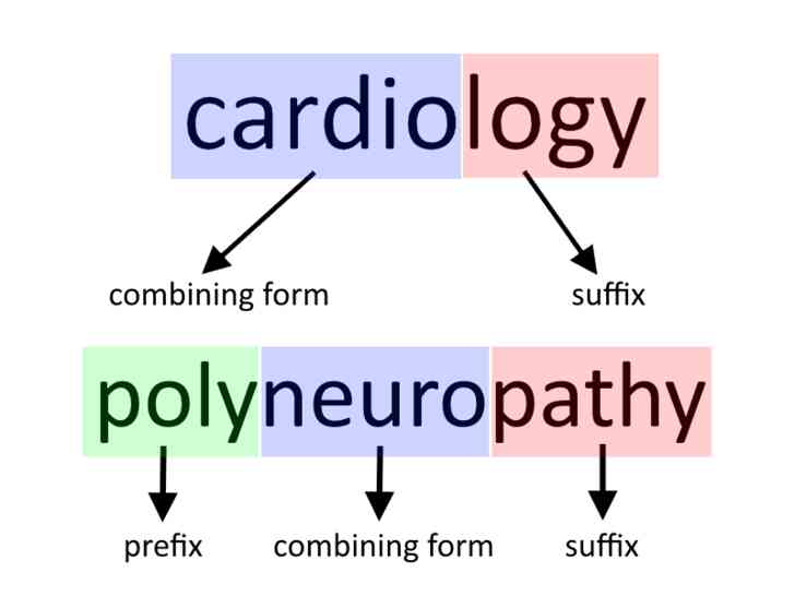 Image intitulée Understand_Medical_Terminolgy_Step_2.png